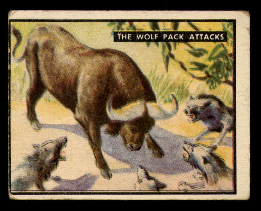 33 The Wolf-Pack Attacks